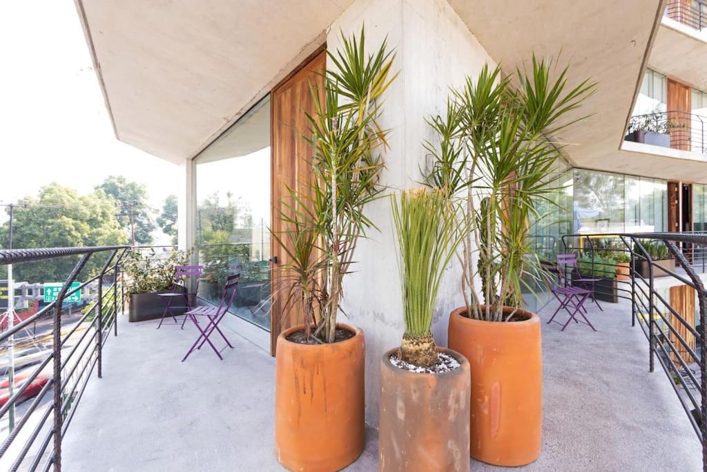 A2-apartment Steps From Chapultepec Castle And Reforma Apartment *